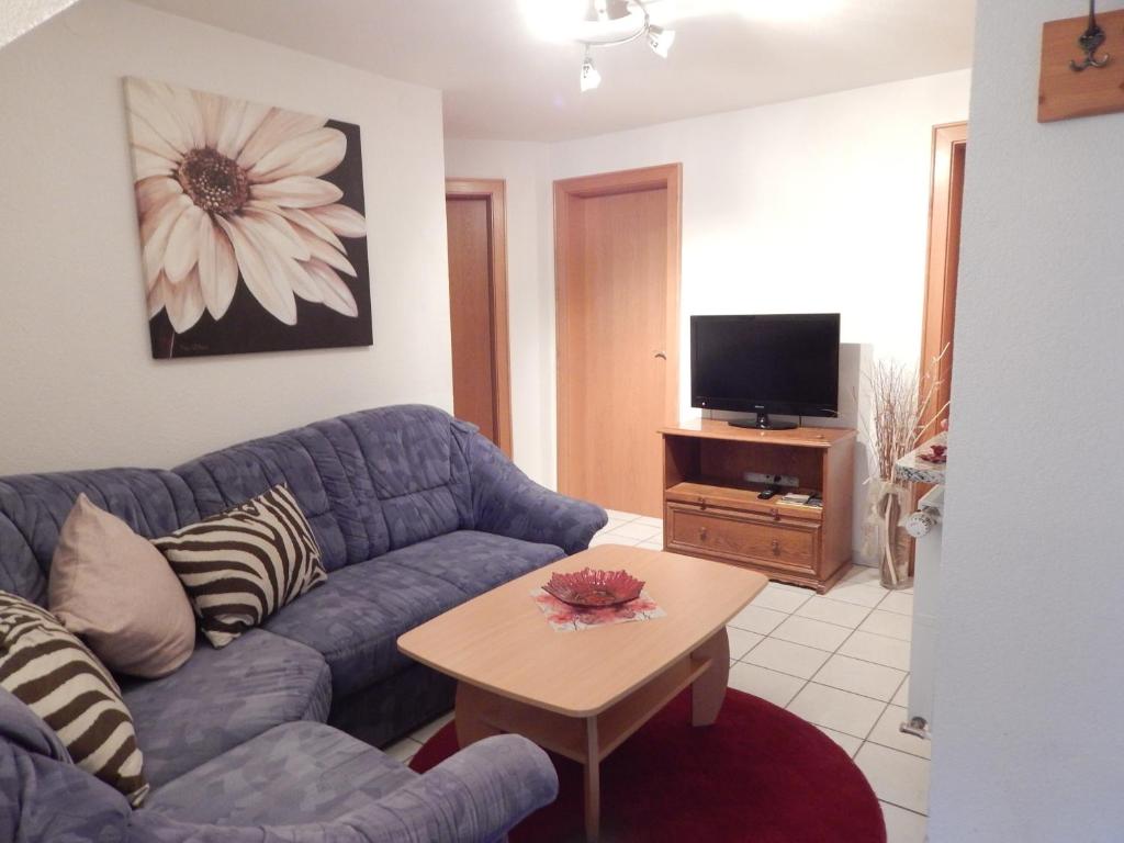 TV a/nebo společenská místnost v ubytování Ferienwohnung Vogl