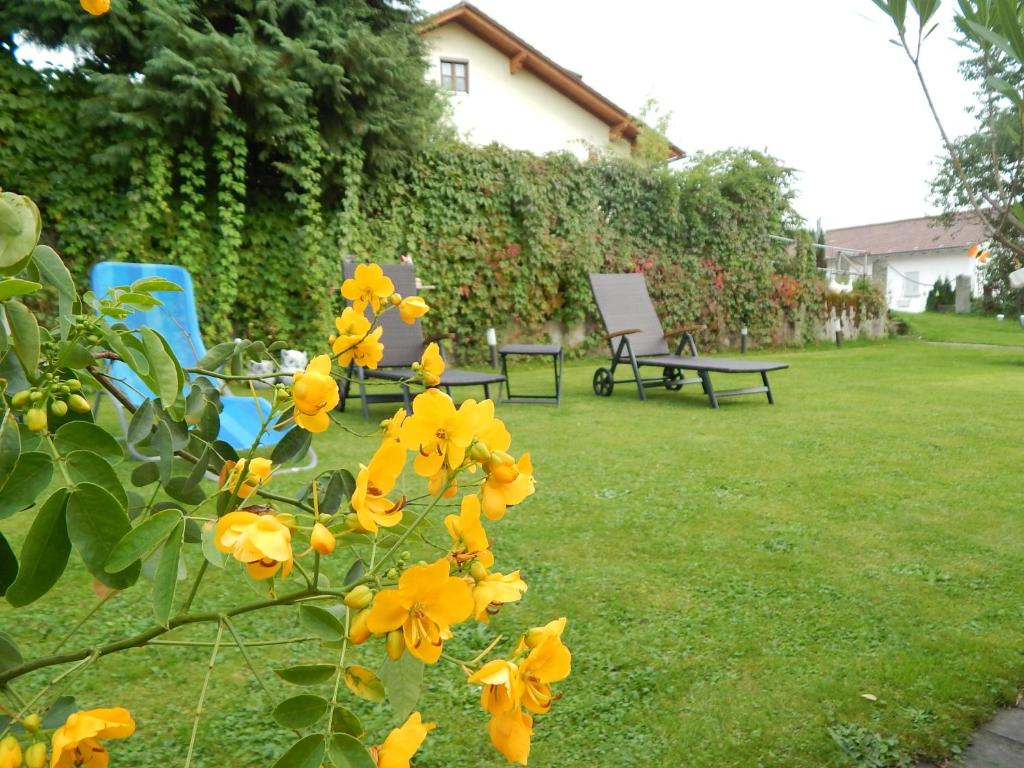 Zahrada ubytování Ferienwohnung Vogl