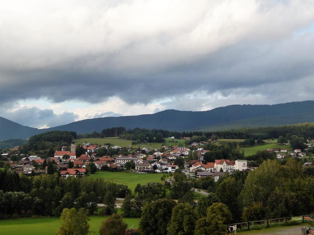Příroda nedaleko apartmánu