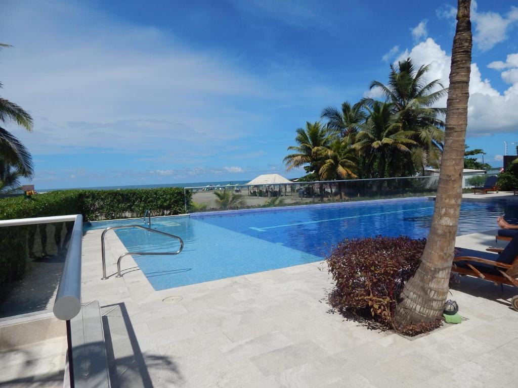 une piscine avec un palmier et l'océan dans l'établissement Edificio Morros Vitri, à Carthagène des Indes