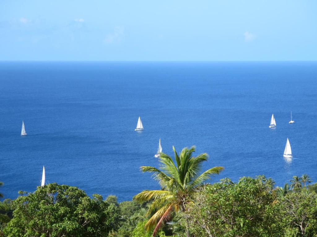 Paesaggio naturale nelle vicinanze dell'hotel