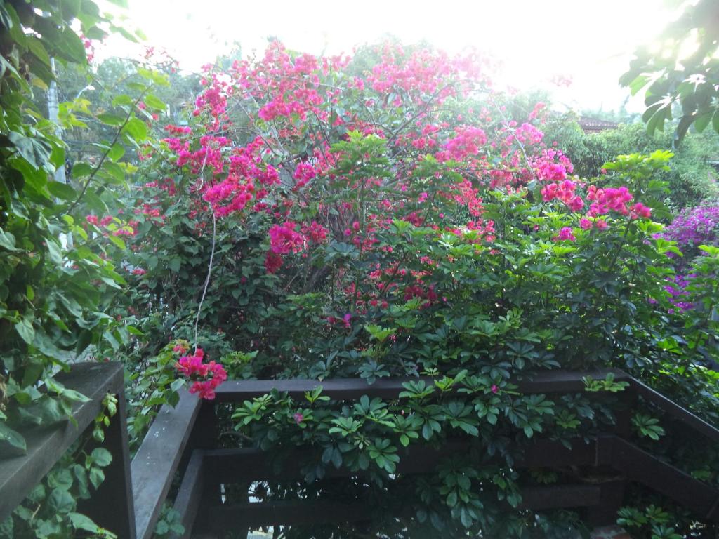 Chalés Xibayka Ilhabela
