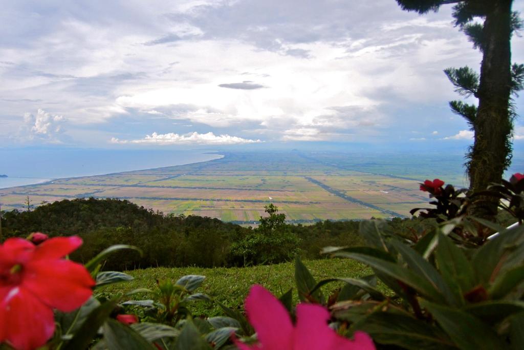 a view of the ocean from a hill with flowers at The Jerai Hill Resort in Yan