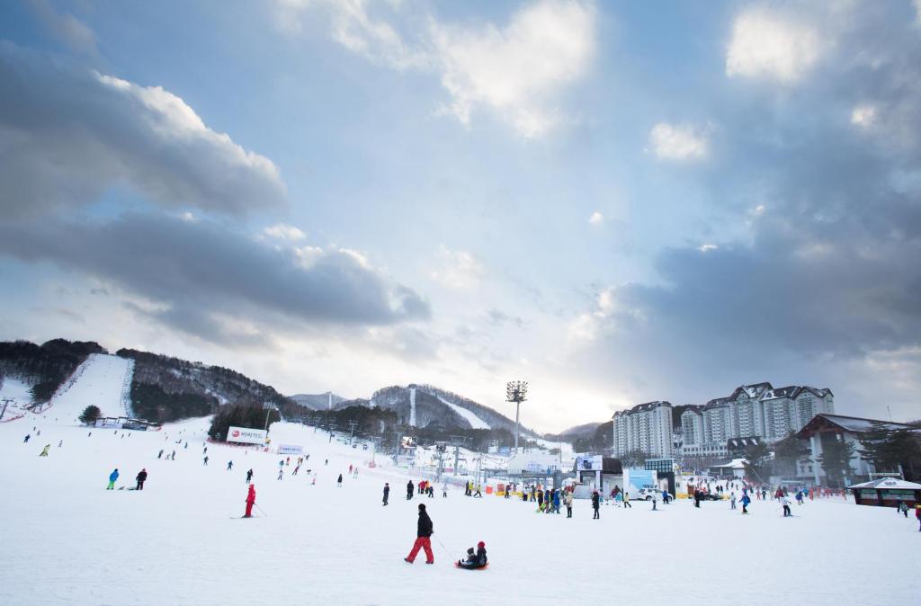 a group of people in the snow on a ski slope at Yongpyong Resort in Pyeongchang