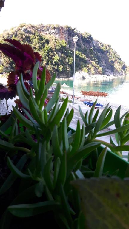 Paisaje cerca de este hotel