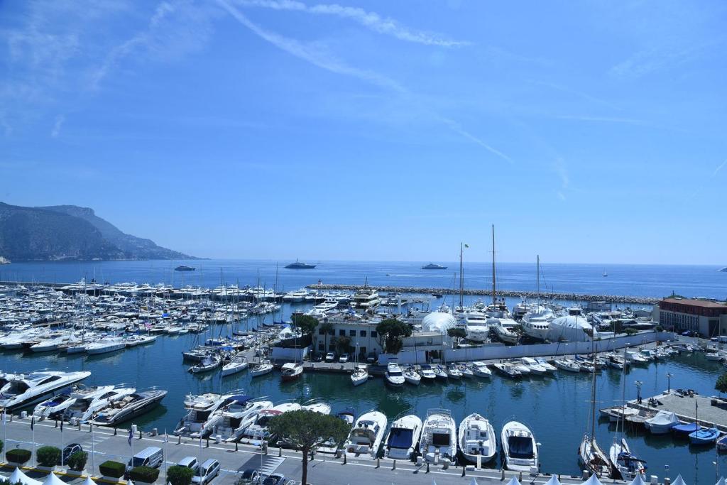 un puerto deportivo lleno de muchos barcos en el agua en The Originals City, Hôtel Frisia, Beaulieu-sur-Mer (Inter-Hotel), en Beaulieu-sur-Mer