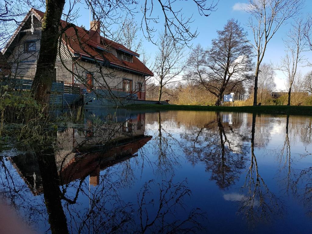 une maison assise à côté d'une nappe d'eau dans l'établissement Pakalnės vingis, à Rusnė