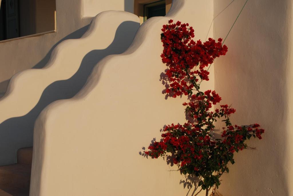 Fotografie z fotogalerie ubytování Villa Kampos Naousa-Marpisa v destinaci Ambelas