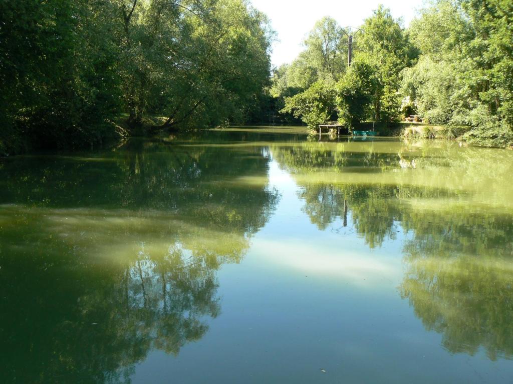 um grande lago com árvores e água em gîte de la maison de l'étang em Sampigny
