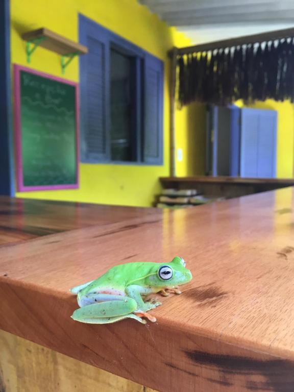  Bamboo Groove Hostel