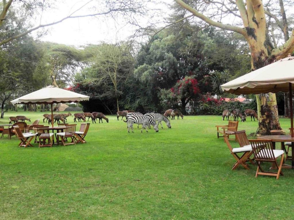 Naivasha – Photos 2