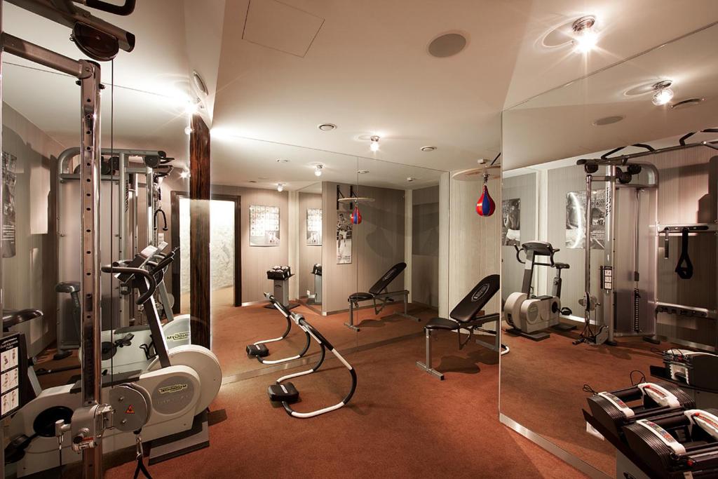 Fitness centrum a/nebo fitness zařízení v ubytování Blue Swan