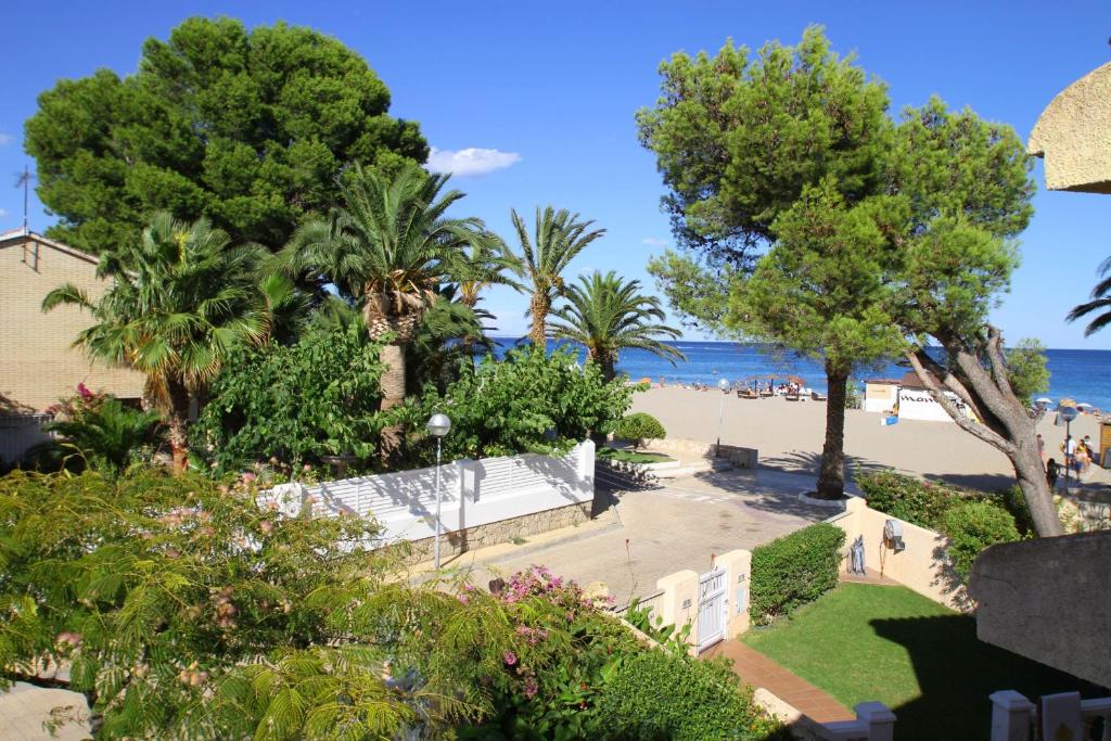 ミアミ・プラトーヤにあるARENDA Pino Alto Holiday Home Portofinoのヤシの木とベンチのあるビーチの景色を望めます。