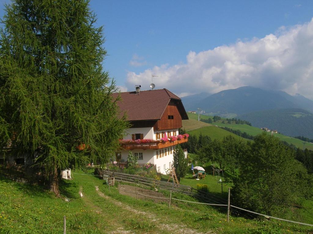 Příroda nedaleko farmy