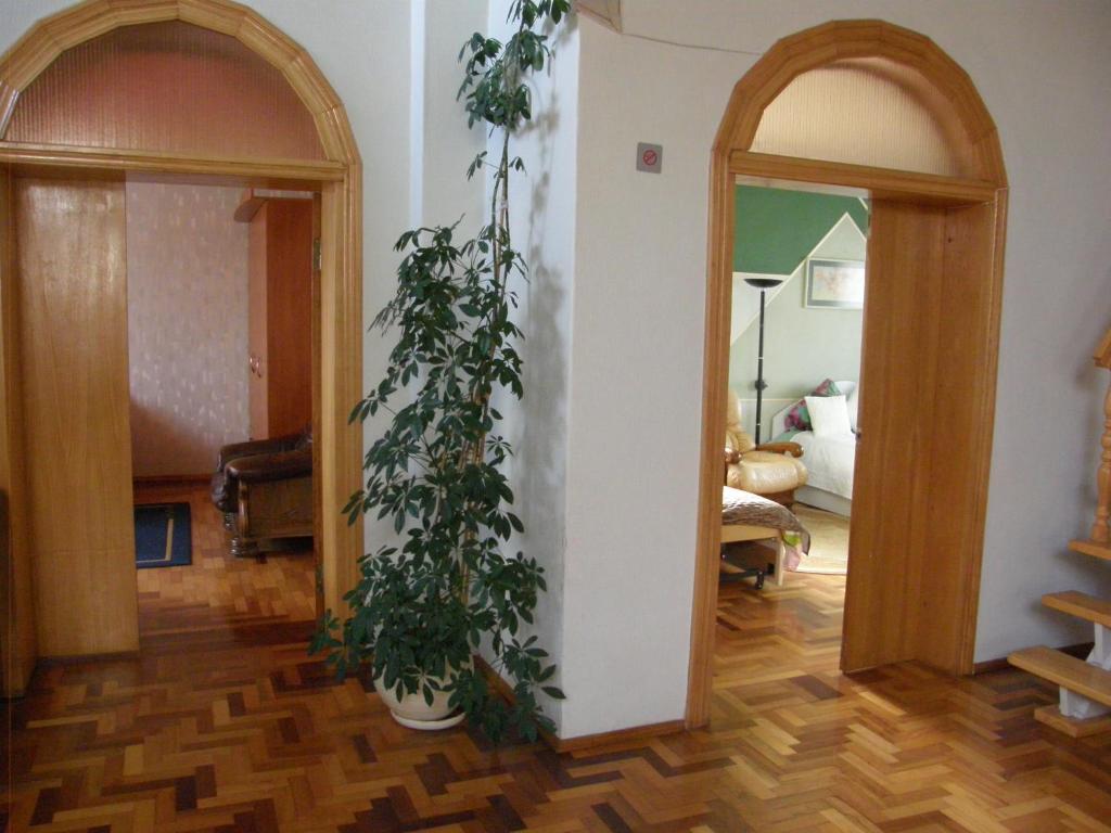 Home for Guests Lakštingala في شياولياي: غرفة معيشة مع اثنين من النباتات الفخارية على الحائط