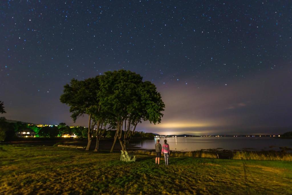 two people standing under a tree at night at Saltair Inn Waterfront B&B in Bar Harbor