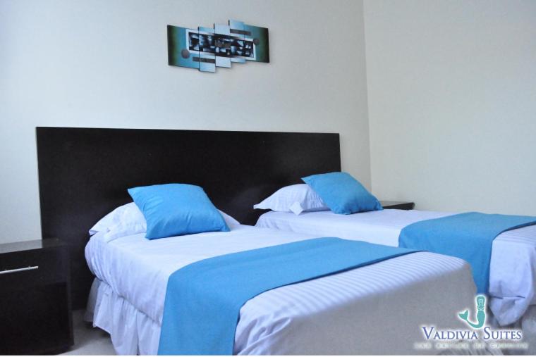 Postel nebo postele na pokoji v ubytování Valdivia Suites
