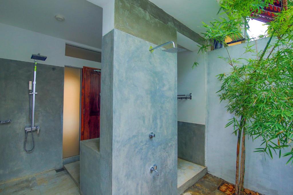 Eliyanth Udawalawe - 1