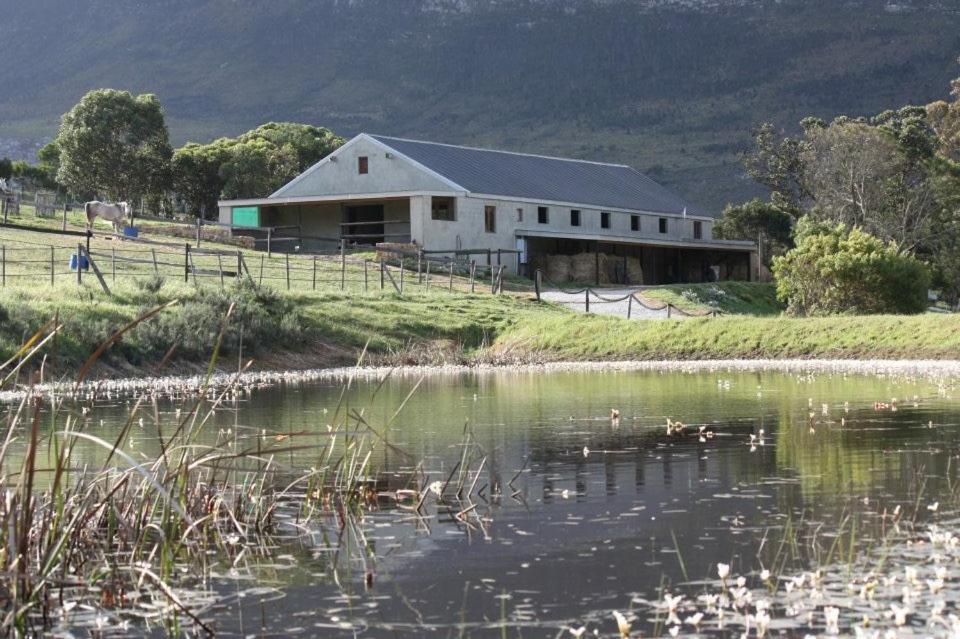 a white barn next to a body of water at Shabach Farm in Hartebeest Rivier