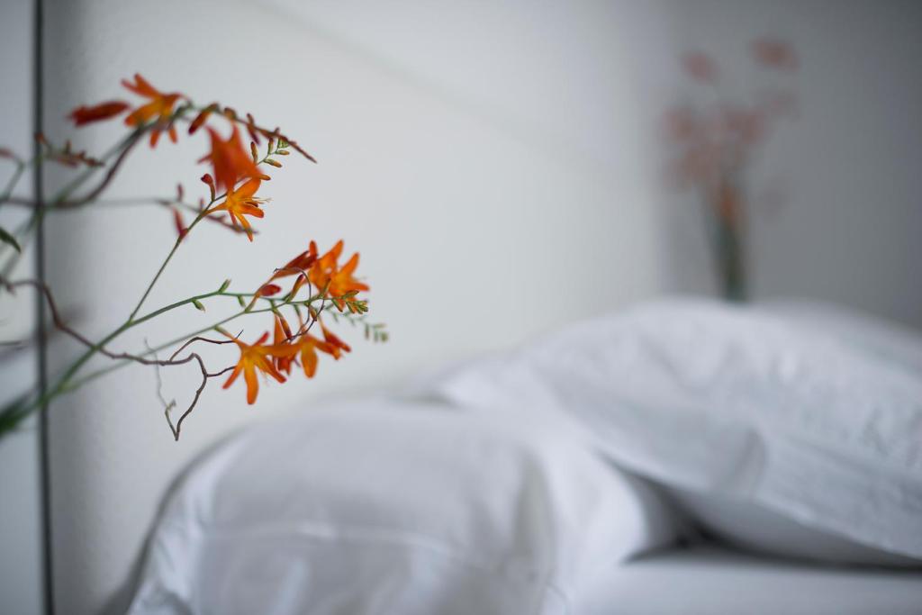 Apartamentos Mar y Mar Agroturismo - 3