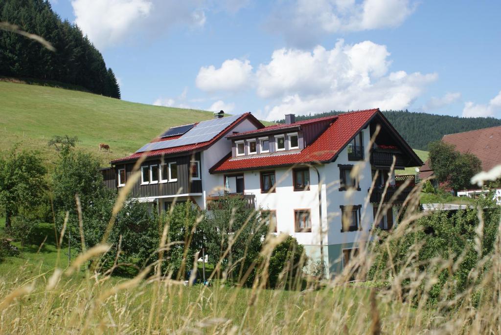 dom z czerwonym dachem na wzgórzu w obiekcie Pension Haus-Sommerberg w mieście Baiersbronn