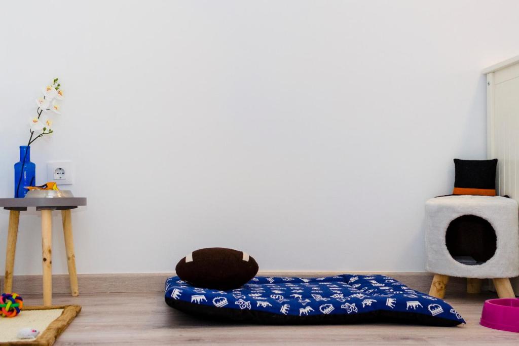 ApartUP Viveros Pets, Valencia – Precios actualizados 2023