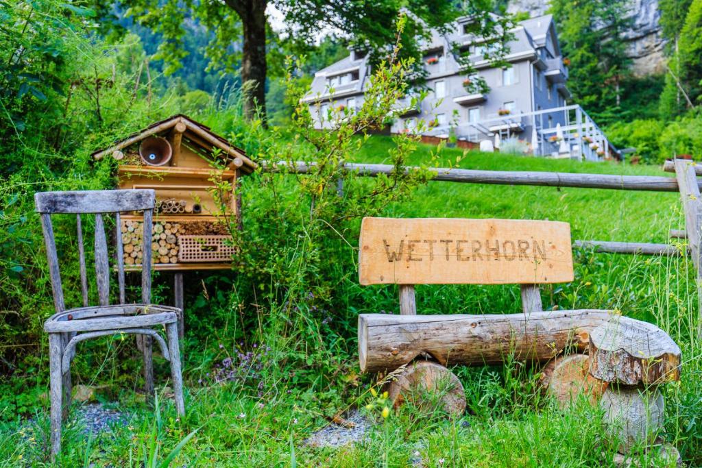 Příroda nedaleko hotelu