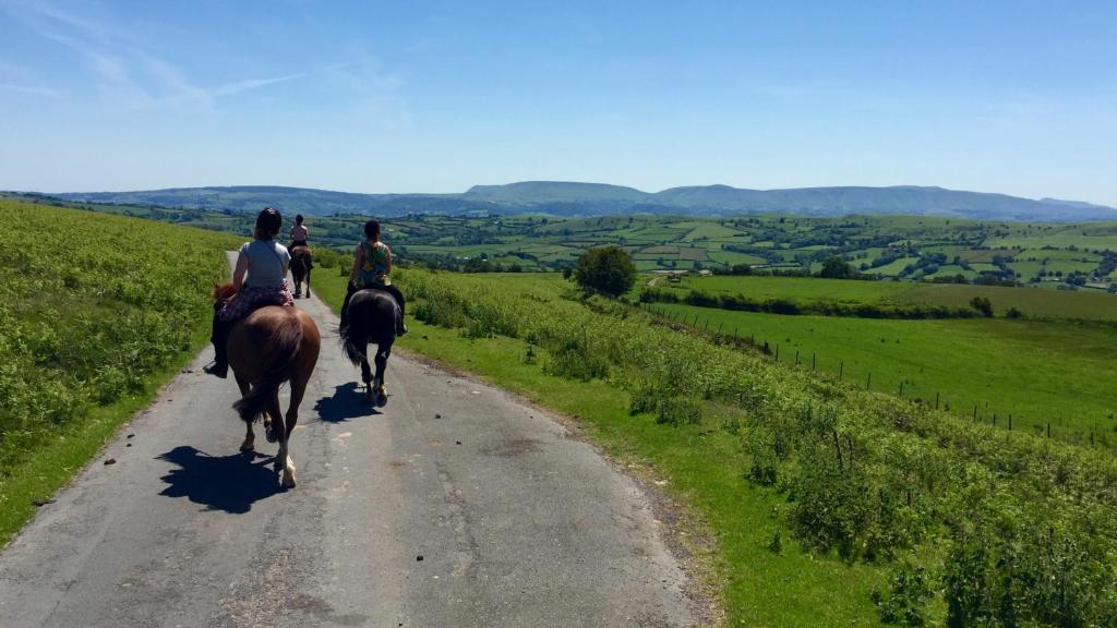 a group of people riding horses down a dirt road at The Roast Ox Inn in Builth Wells