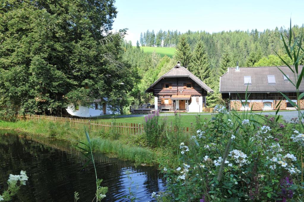 LiebenfelsにあるUrlaubsalm Kreuth 6の家の前に池がある丸太小屋