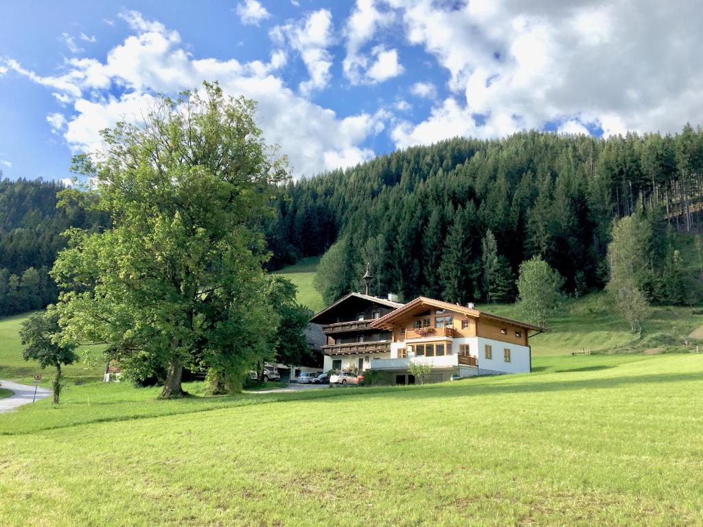 a house in the middle of a field with a tree at Ridehouse in Schladming