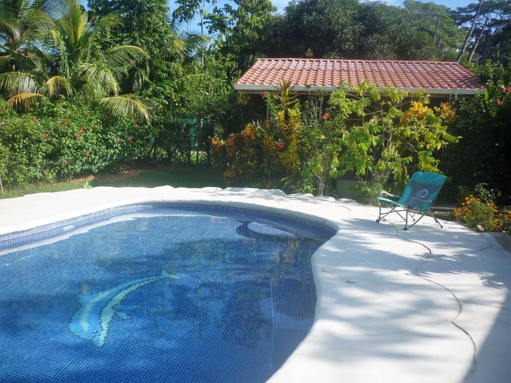a swimming pool with a blue chair in front of it at Cabinas Yamann in Manzanillo