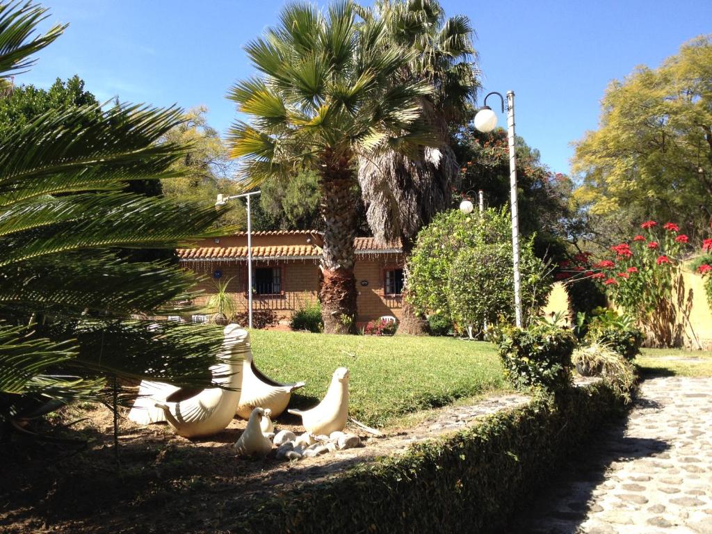 a group of white birds sitting in a park at El Refugio de las Palomas in Tepoztlán