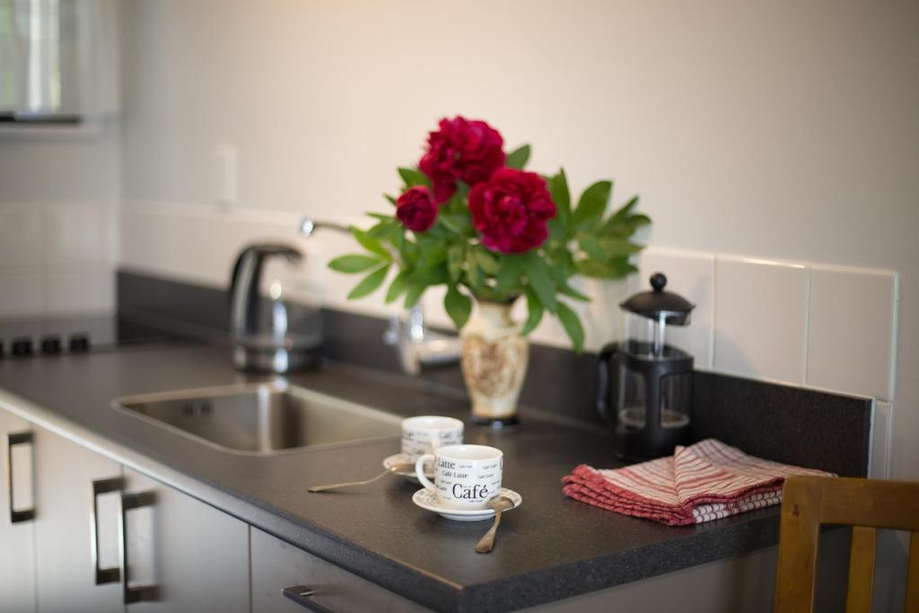 Argyle On The Park - Central Christchurch Motel Overlooking Hagley Park - Resim 8