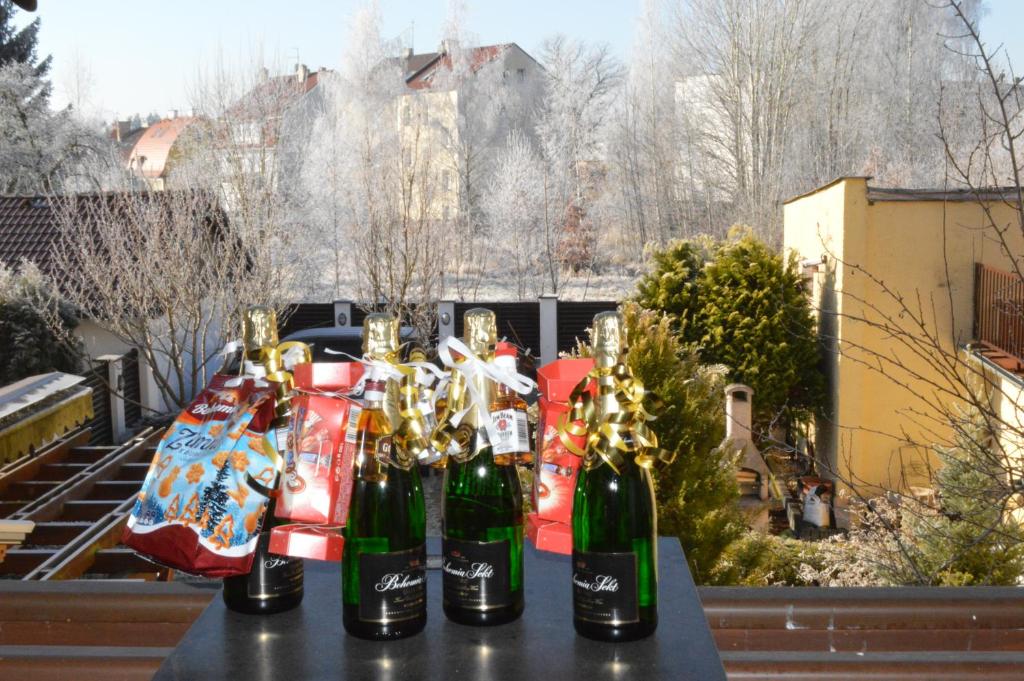 Zdjęcie z galerii obiektu Apartment Pension Stark we Franciszkowych Łaźniach