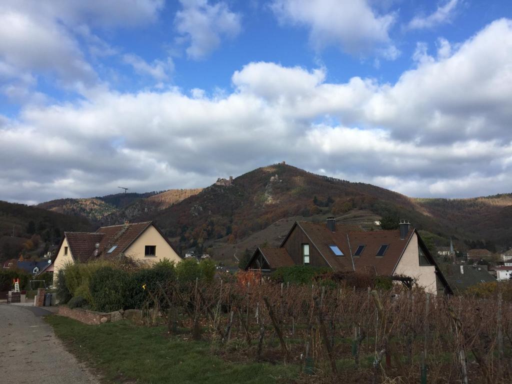 les menetriers – photo 5
