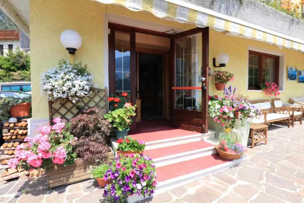 Zahrada ubytování Hotel Aurora