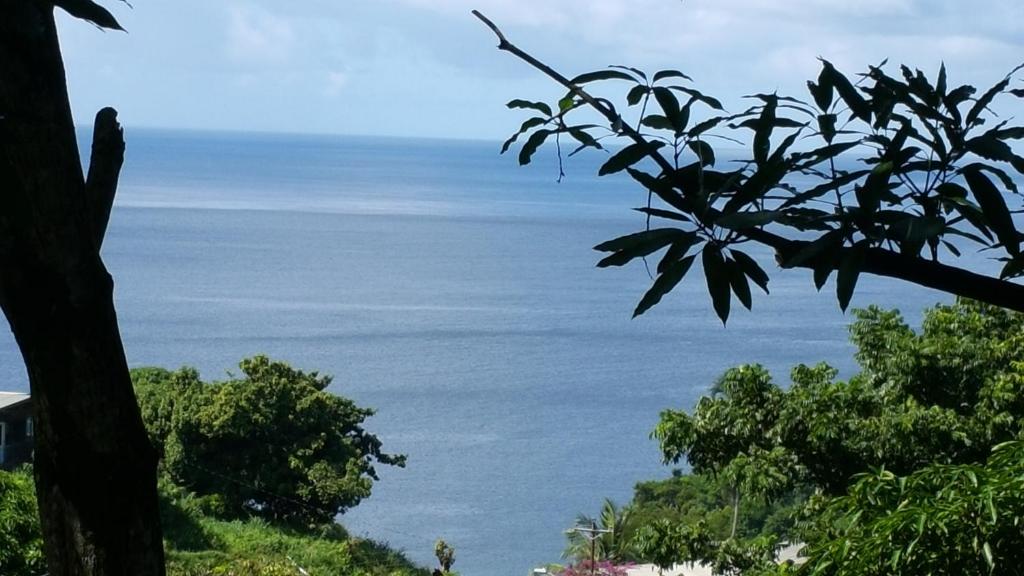 einen Blick auf das Meer von einem Baum in der Unterkunft Cottage Mango in Castara