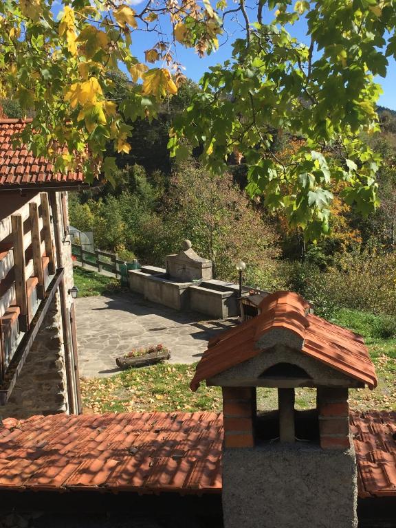 Zahrada ubytování Casa Sperandini