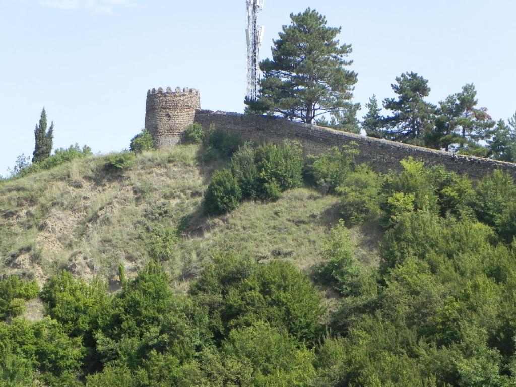 Příroda nedaleko hotelu