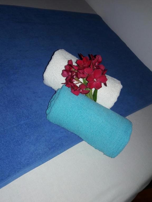 Postel nebo postele na pokoji v ubytování Natural Cabanas