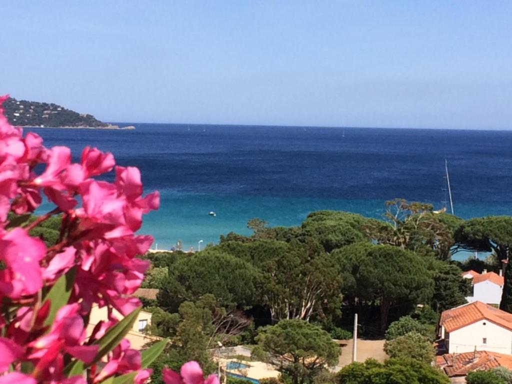 - une vue sur l'océan avec des fleurs roses au premier plan dans l'établissement Appartement Altair, au Lavandou