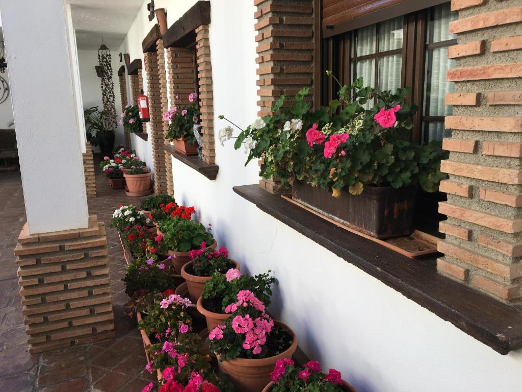 Zahrada ubytování La Hacienda del Marquesado