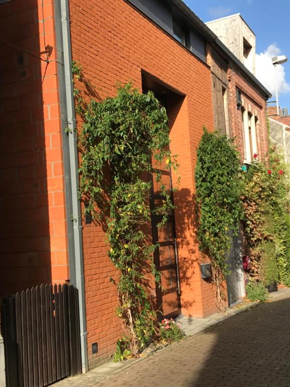 un bâtiment en briques avec des plantes sur son côté dans l'établissement B&B Wannes Suite, à Louvain