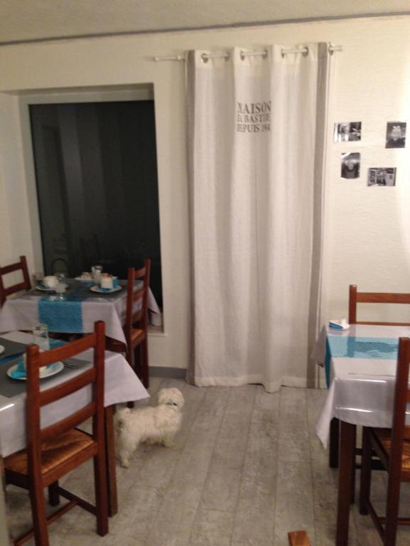 a white dog laying on the floor in a dining room at Hotel Du Port in Concarneau