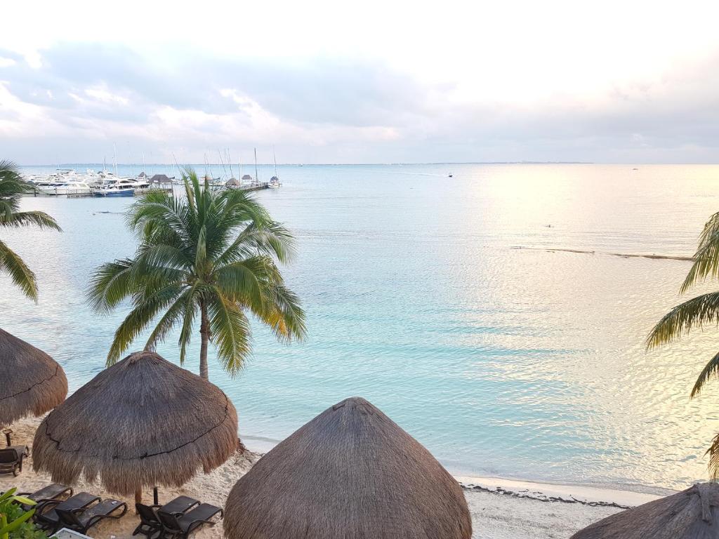 a beach with straw umbrellas and a palm tree at Suite frente al Mar in Cancún