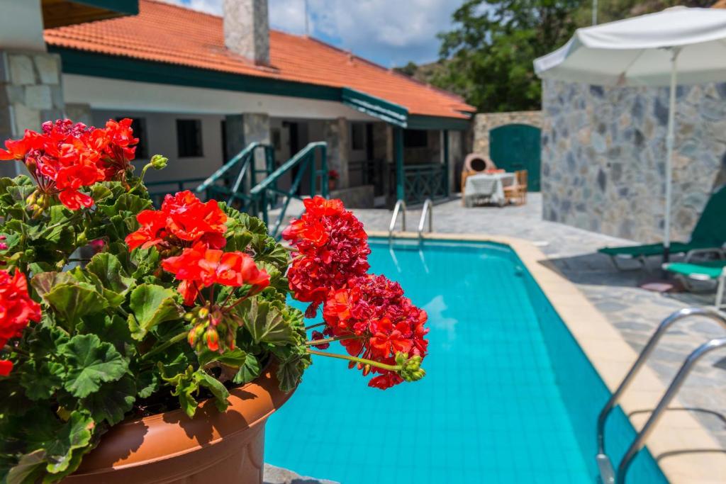 Bazén v ubytování Themis House nebo v jeho okolí