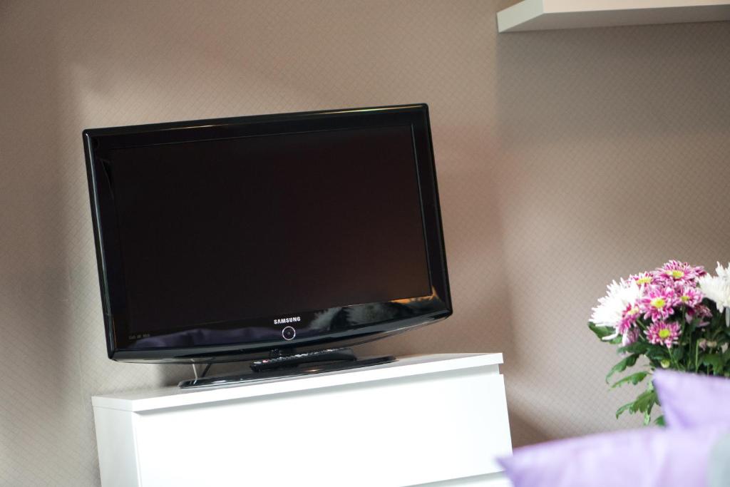 TV a/nebo společenská místnost v ubytování Penzion Staré Louny