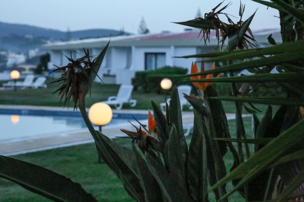 a house with a yard with a swimming pool at Hotel Apartamento Do Golfe in Vilamoura