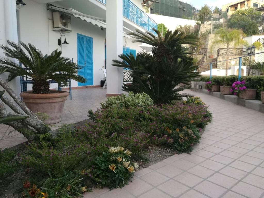 A garden outside Villa Loreta