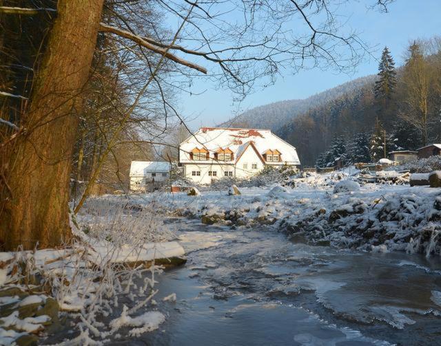Příroda nedaleko hotelu